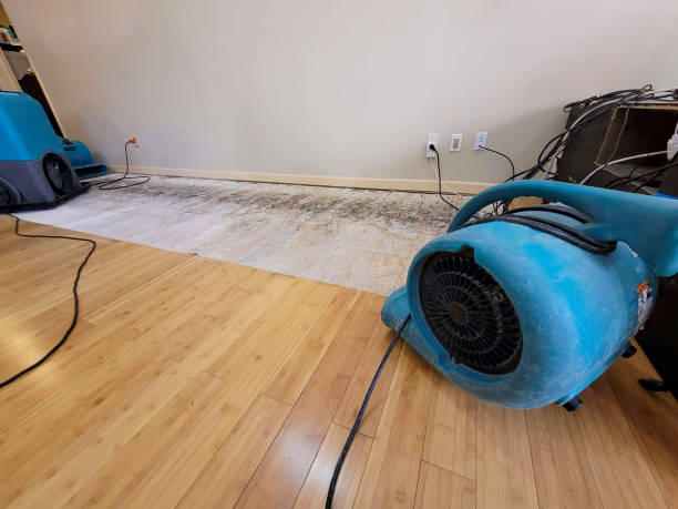 Professional Flood Damage Cleanup technician working in Pequannock, NJ